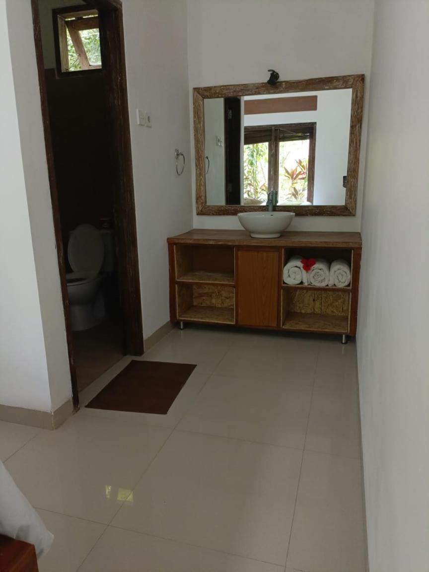 Araminth Guest House And Spa Ловина Экстерьер фото
